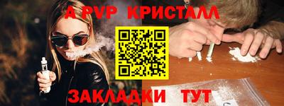 крисы Донской