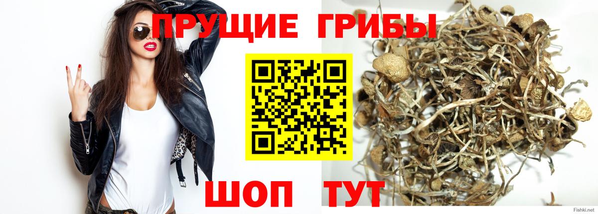 Галлюциногенные грибы мухоморы Кулебаки