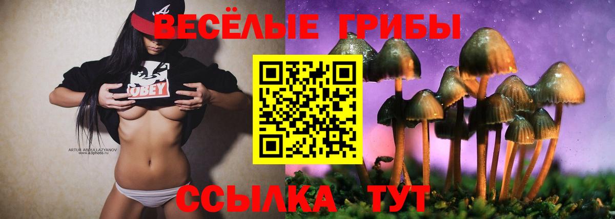 Кулебаки  Галлюциногенные грибы Cubensis  дарнет шоп  Вход с VPN  Псилоцибиновые грибы MAGIC MUSHROOMS 